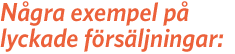 Exempel på lyckade salamiförsäljningar: